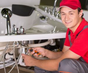 About Plumbers Pros Comerio, PR